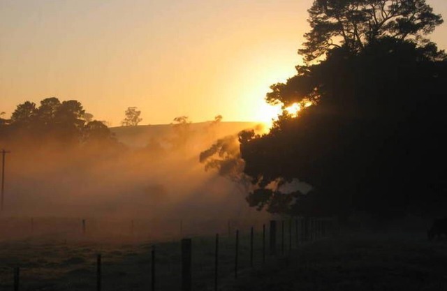SECLUDED, QUIET, PRIVATE "FERNDALE" B&B Farm Stay n5mins to BUNDANOON or EXETER