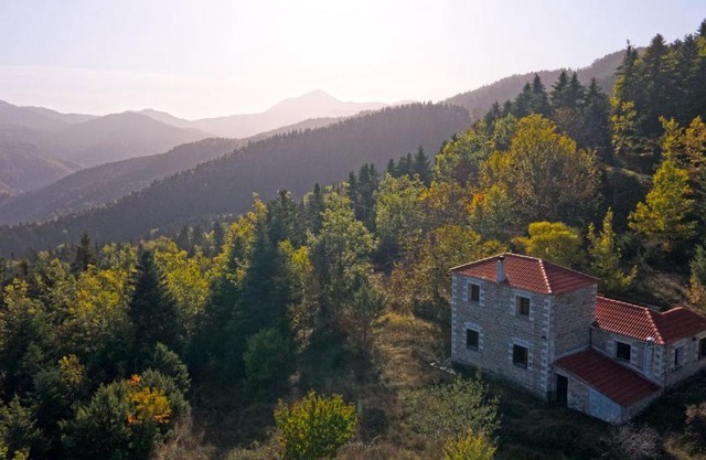 Secret Mountain Cabin "Θεοδόξαρο"
