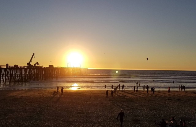 SEE SEAEN Oceano Pismo Grover Avila Shell Beach