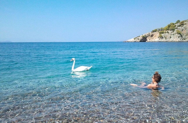 Self-catering Beach Studios in front of the sea Only 1h From Athens