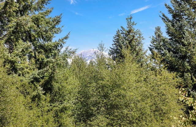 Serene location, lawn games, private creek access, partial Mt. Adams view!