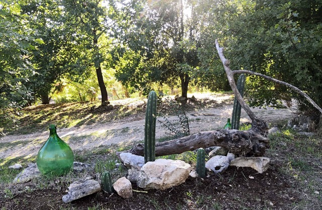 Serenella apartment in the nature between sea and mountain