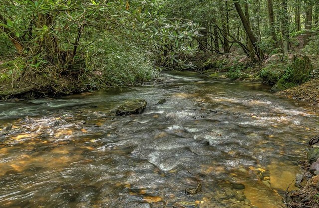 Serenity Lodge on the Creek - Pet Friendly | Creek Front | Hot Tub