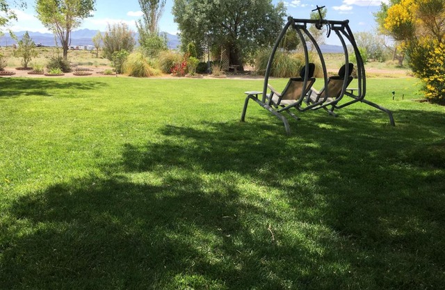 Shady Lady Bed and Breakfast