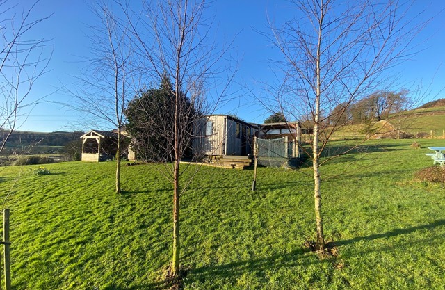 Shepherds Hut-1 Bed-Hot Tub -views