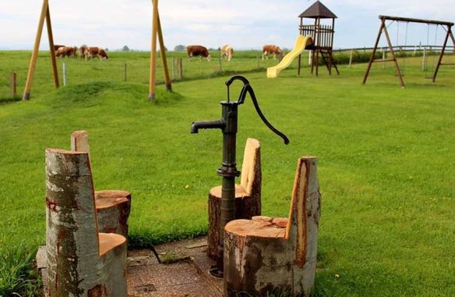 Shettland pony paddock - Langs Wirtshaus