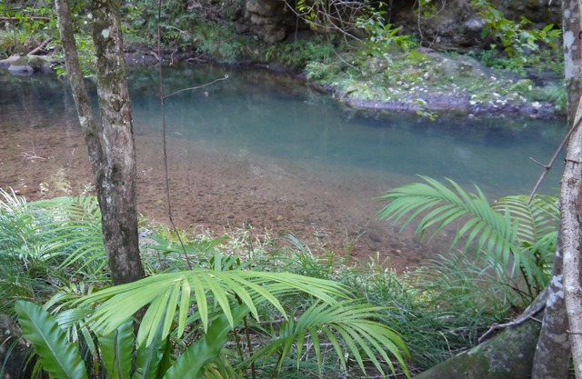 Sine Cera Rainforest Retreat