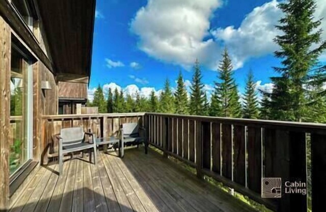 Sjusjøen ski in/out, ski storage, Wifi, grill & EV-charger, modern apartment!