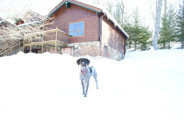 Ski cabin- Close, Comfortable, & well kept cabin- Family friendly