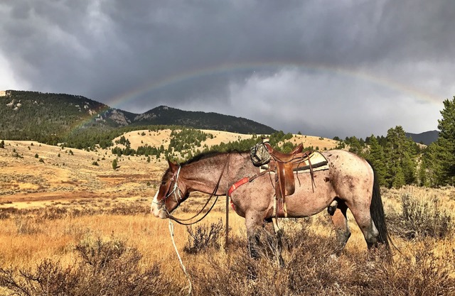 Ski-In /Ski-out Cabin in Spanish Peaks Mountain Club! Luxury on the Slopes!