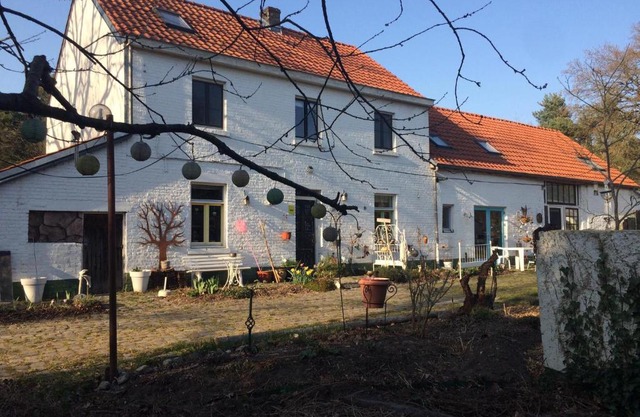 Slaaphuisje Het vliegend varken