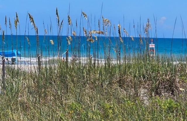 Slice of Paradise, 1 bedroom, walk to the beach!