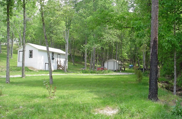 Small cabin in the woods Peaceful retreat
