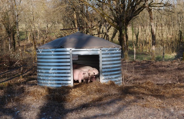 Small cottage on the farm