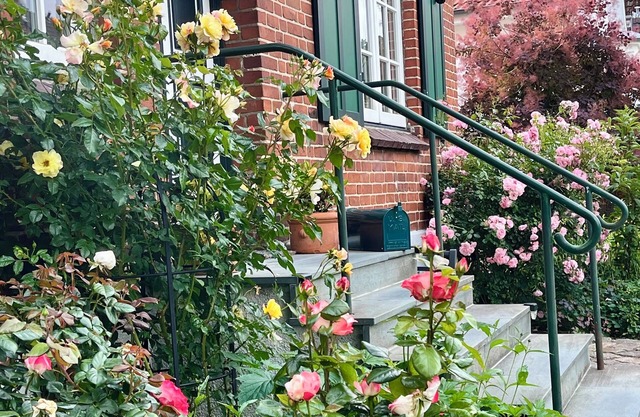 Small country house pearl by the castle park and lake, in dreamlike nature!