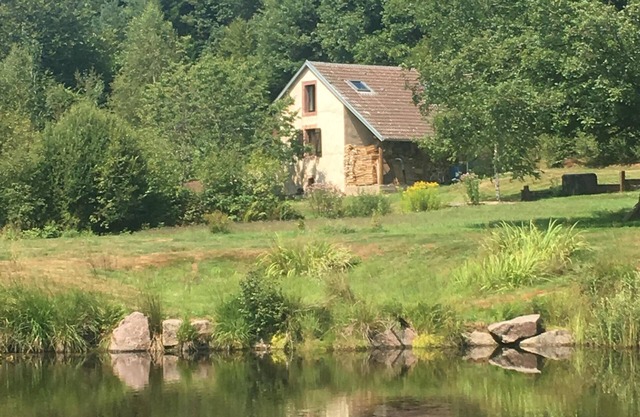 Small house in the middle of the forest.