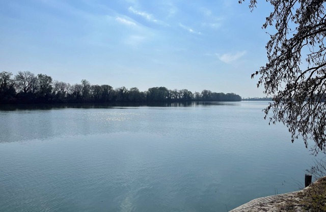 Small semi-detached house in the Camargue on the banks of the Petit Rhône