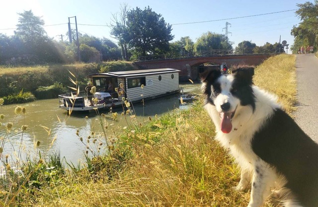 SOLAR BOAT ON THE GARONNE CANAL departing from CASTELSARRASIN.