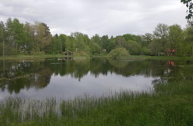 Solvagnen