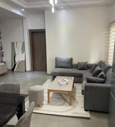 Somptueux appartement meublé