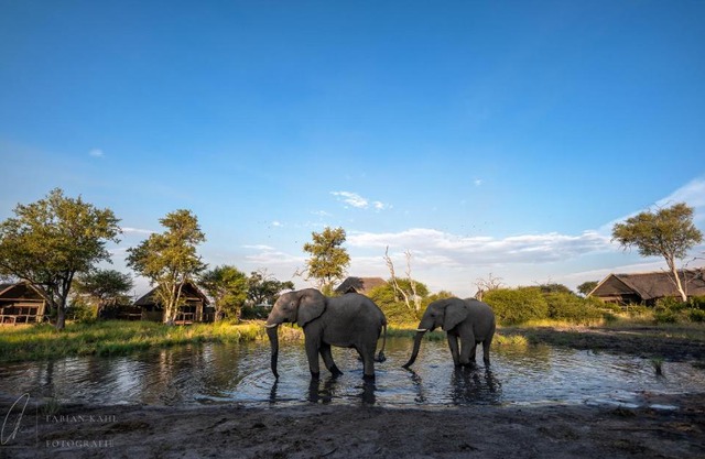 South Okavango - Omogolo Hideaways