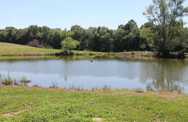 Southern Il. Lodge with a View and a pond