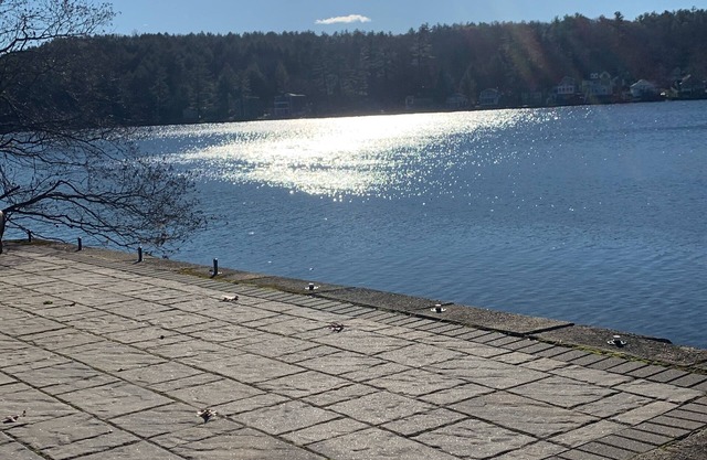 Southern New Hampshire lakefront