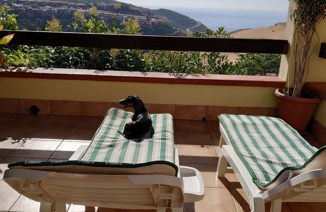 Spacious terrace with panoramic sea view and sand dunes