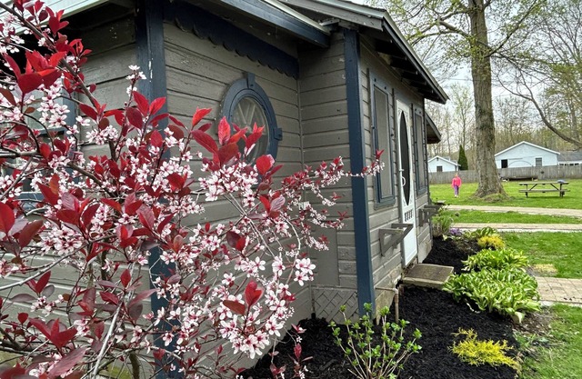 Spacious 1 Bedroom Cottage with Pool and WiFi right by the GOTL Strip!