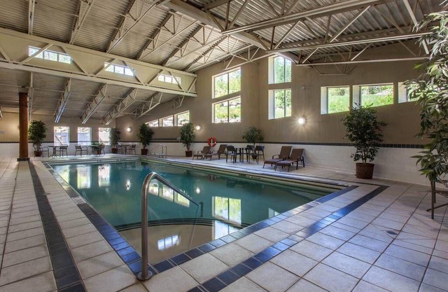 Spacious 1BR condo w King Bed, 5min to Fernie Alpine Resort, high speed internet