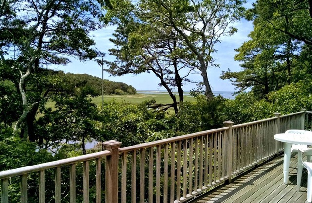 Spacious 4BD Beauty-Central A/C, Big Deck, Screen Porch, Ever-Changing Water Views