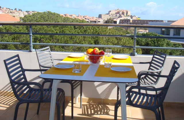 Spacious air-conditioned 2-room apartment, large terrace overlooking wooded park with swimming pool