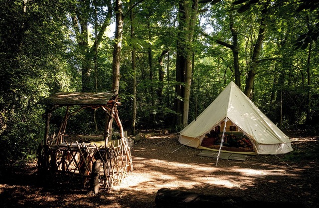 Spacious and cosy 6 meter themed Moroccan Bell Tent in a woodland clearing
