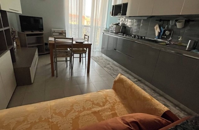 Spacious apartment in Turin Center