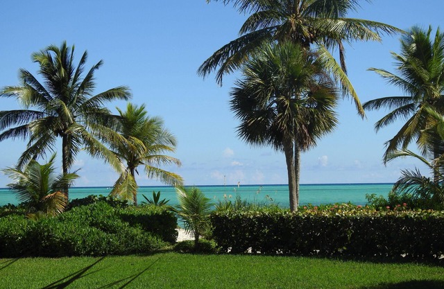 Spacious beachfront house, short drive to dining and shopping.