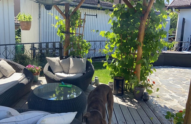 Spacious beautiful house with pool just outside Geneva