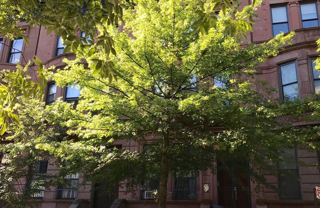 SPACIOUS BRIGHT 1 BEDROOM APARTMENT 2 BEDS IN LOVELY BROWNSTONE