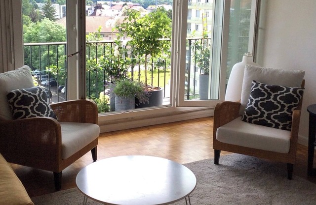 Spacious, Comfortable Apartment, Geneva-ferney Border, With Mountain Views