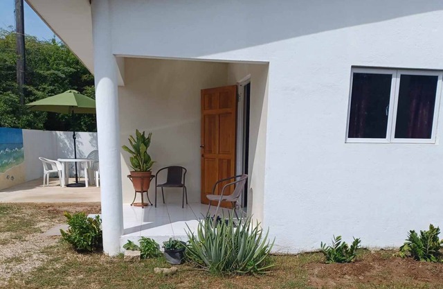 Spacious cozy house for living and working