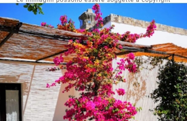 Spacious double room in ancient Masseria near the sea in a quiet olive trees.