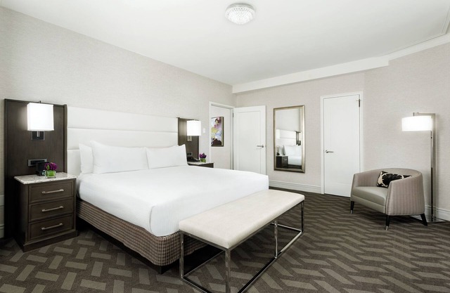 Spacious Downtown Room Close to Public Transports | Pets Are Allowed