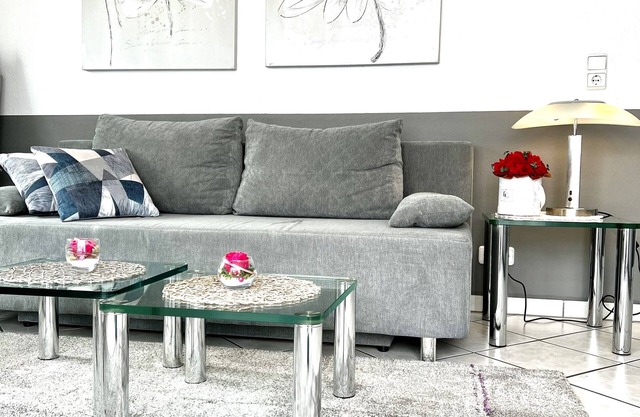 Spacious luxury apartment