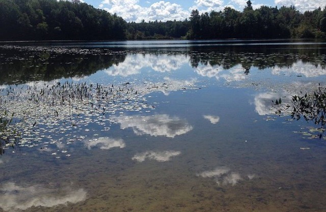 Spacious, Secluded RV On Private Lake with Own Access