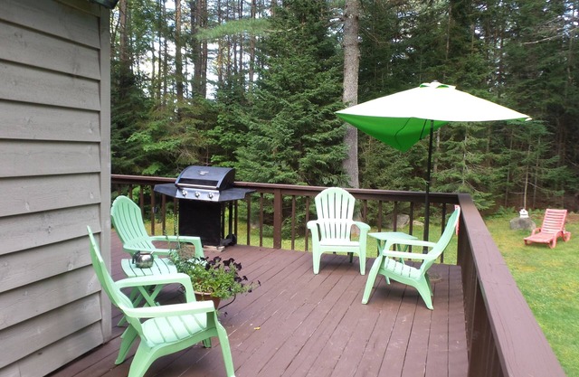 Spacious Three Bedroom, Two Bath Home. Animals Welcomed. In Lake Placid.