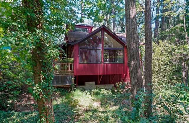 Spacious, Tranquil “Treehouse” with Sauna and Fireplace