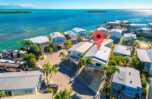 Spanish Queen @Venture Out, Cudjoe Key