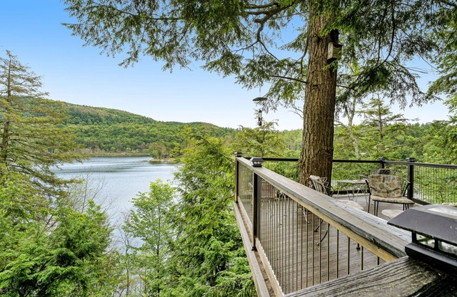 Spectacular dog-friendly lakefront house with washer/dryer & fast WiFi