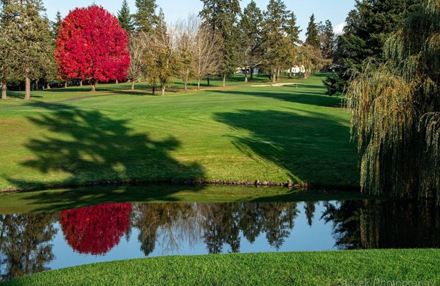 SPECTACULAR GOLF CLUB "STAY & PLAY PACKAGE"
