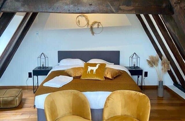Splendid Duplex in Ghent's Heart