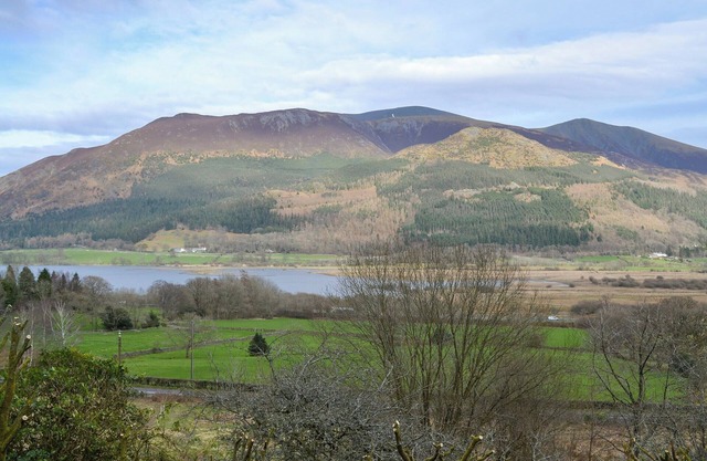 Squirrel’s Retreat - UK30821